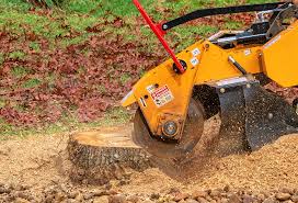 How Our Tree Care Process Works  in  Jackson, CA